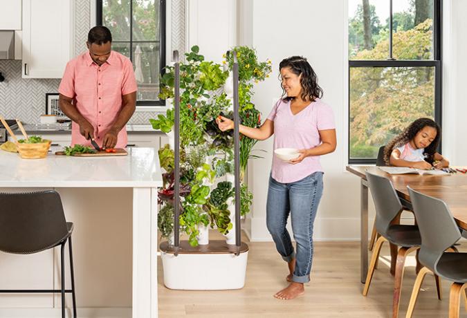 Gardyn Home Kit 3.0 Testbericht: Ein fruchtbarer, intelligenter Indoor-Garten, dessen Kauf ich nicht bereue
