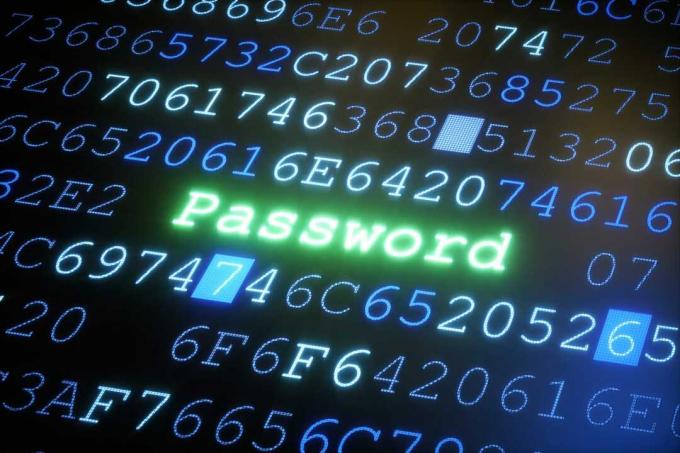 crittografia della password