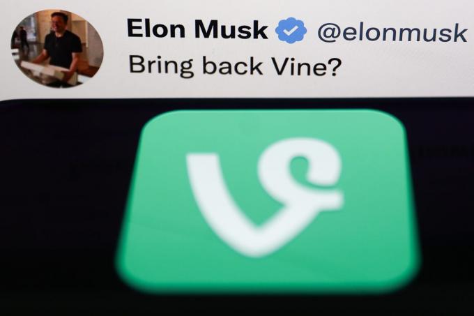 Tweet di Elon Musk sull'acquisizione di Vine