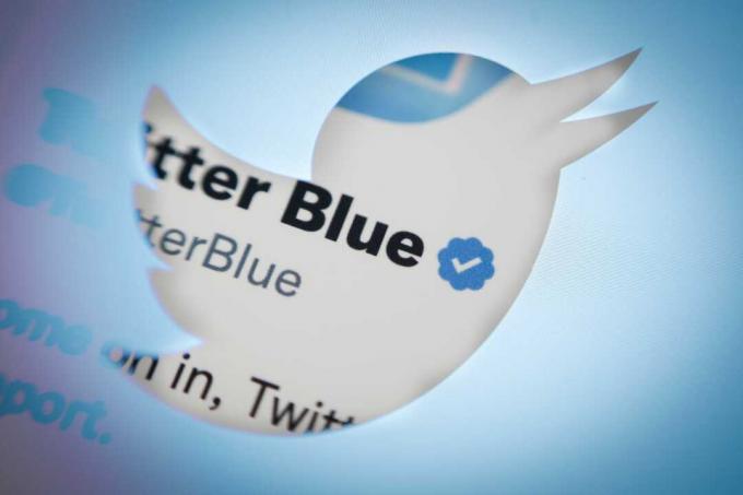 Profilo blu del logo Twitter