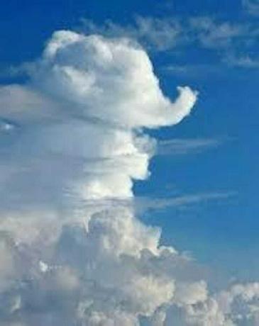 oblak-slon.jpg